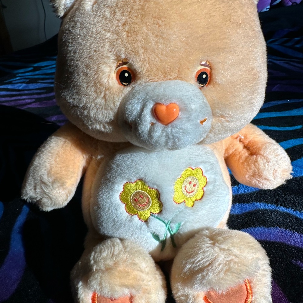 Care Bears Friend Bear Plush Talking